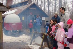 Maple Syrup Festival