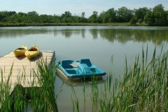 Paddle Boats