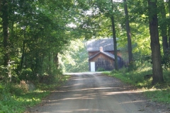 Tree Covered Roadway