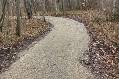 Winding trail surrounded by trees and fall leaves