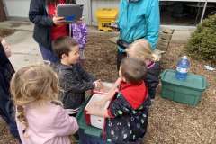 Elementary school children put there hand in a cold cooler of ice water