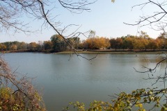 Warwick Lake