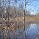 Watershed Conditions Statement – Flood Outlook – April 4, 2017 Event 3 Bulletin 2
