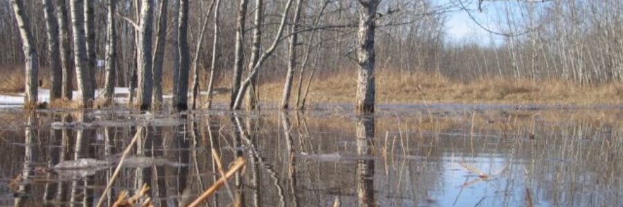 Watershed Conditions Statement – Water Safety – January 23, 2018 – Event 2, Bulletin 1