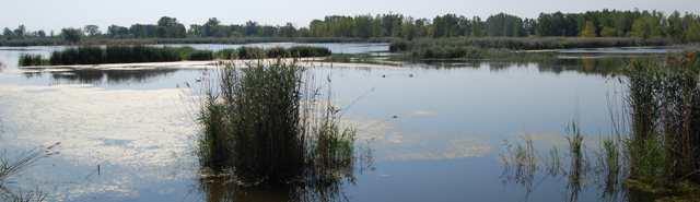 Wawanosh Wetlands Header Green Meetings