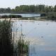 Property Closure at Wawanosh Wetland Conservation Area – September 9th-13th