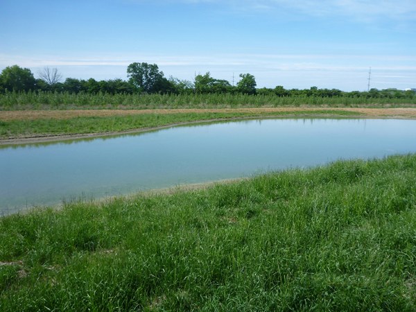 Bowen's Wetland Bowen's Wetland