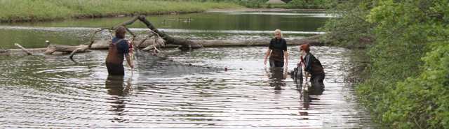SCRCA Staff fish Sampling Header Environmental Monitoring