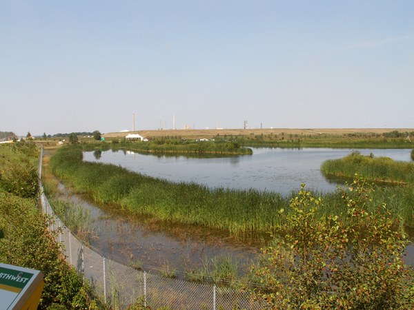 ICI Wetland