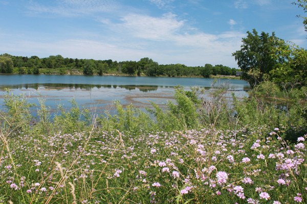 Blackwell Landfill logons pond at blackwell landfill
