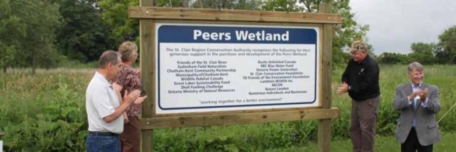 Peers Wetland Opening