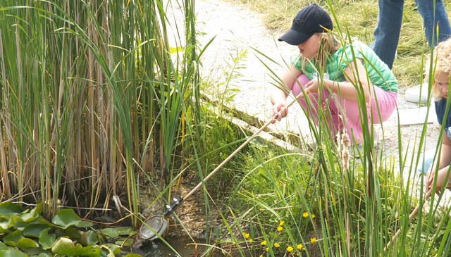 Image of child with net aside a pond