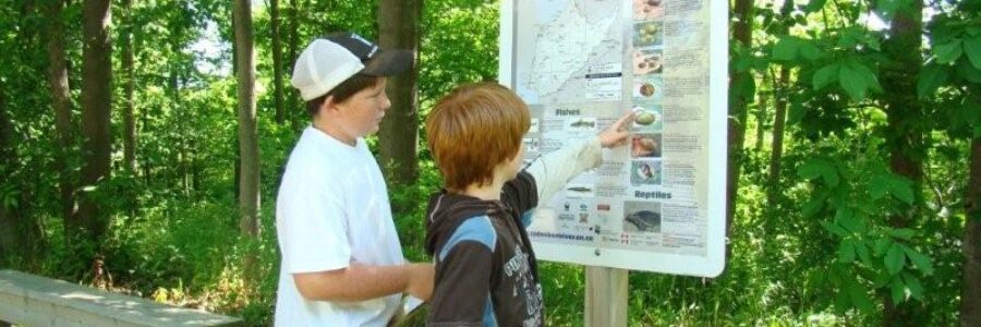 Geocaching Adventure