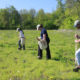 Call to order your trees for the spring