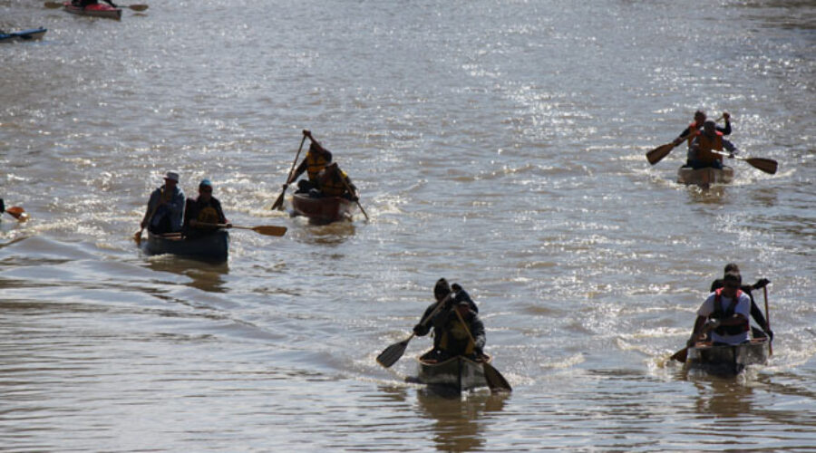 Sydenham River Canoe and Kayak Race