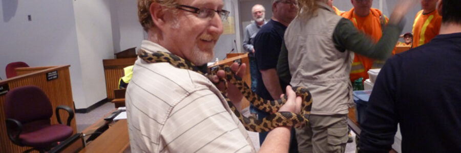 David Cummings is seen with the endangered eastern fox snake