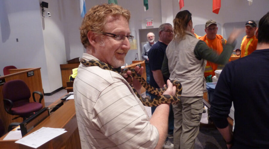 David Cummings is seen with the endangered eastern fox snake