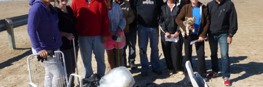 Great Canadian Shoreline Cleanup