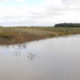 Habitat Conservation, Restoration and Enhancement on the North Sydenham River