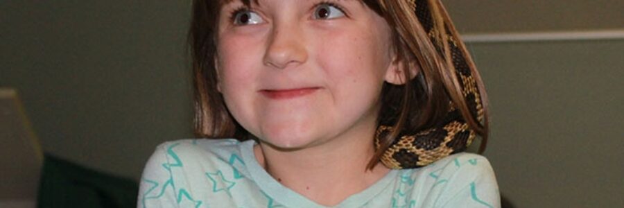 Autumn from Corunna grins from ear to ear as she embraces an Eastern Foxsnake at the Reptiles at Risk Workshop in St. Clair Township last week.