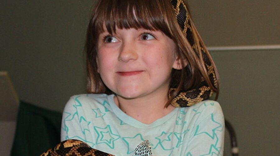 Autumn from Corunna grins from ear to ear as she embraces an Eastern Foxsnake at the Reptiles at Risk Workshop in St. Clair Township last week.
