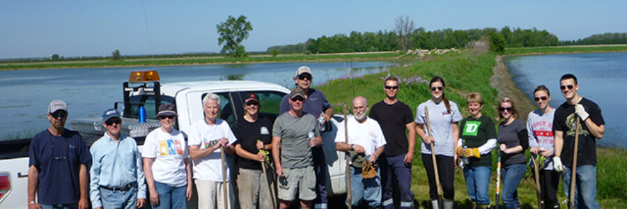 a group of volunteers help plant trees and shrubs at the Forest Sewage Lagoons