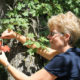 A Geocaching Adventure