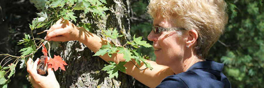 Sharon Nethercott Conservation Education Coordinator hides a geocache in preparation for the Geocaching Adventure to be held at the Lorne C. Henderson Conservation Area