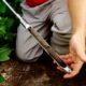 Soil Test Clinic