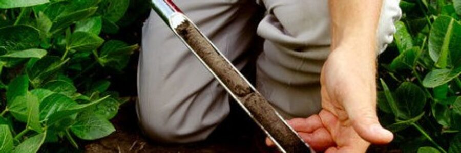 soil test