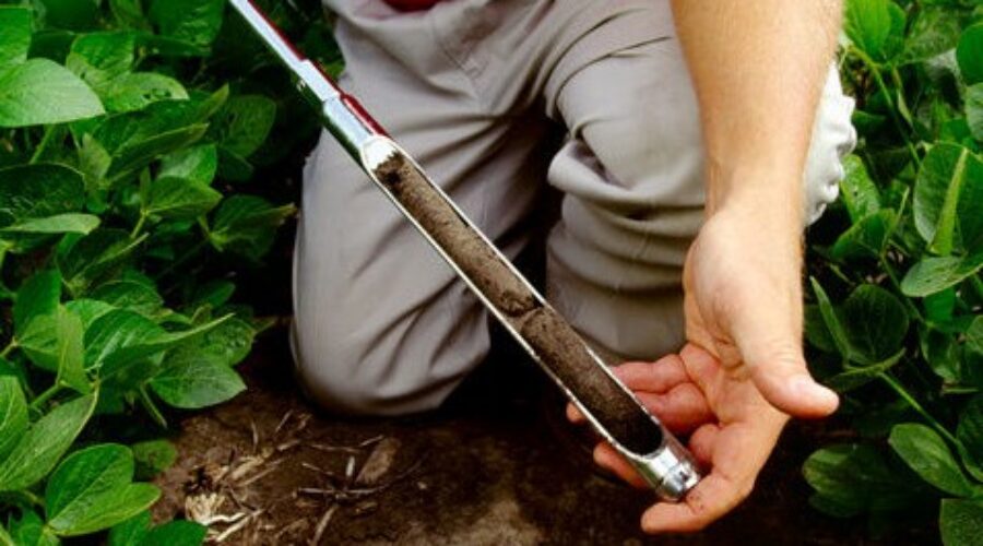 soil test