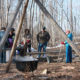 A. W. Campbell Maple Syrup Festival – March 19 – 20