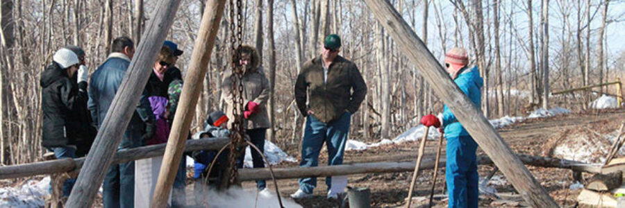 maple syrup festival