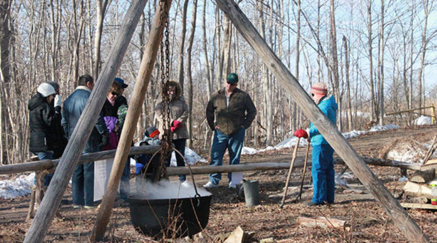 maple syrup festival