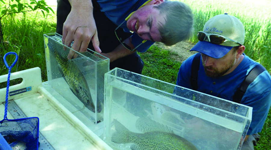 SCRCA staff check out fish species