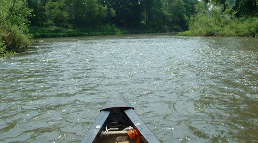 canoe on the sydenham