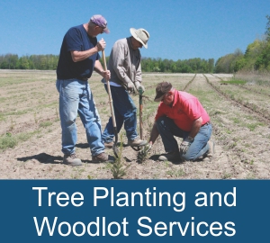 Tree Planting and Woodlot Services Tree Planting and Woodlot Services