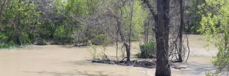 Flooding