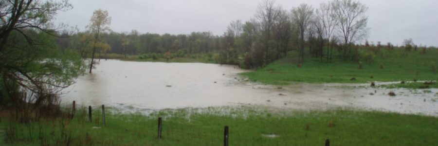Field Flooding