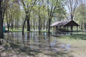 Flooded Park