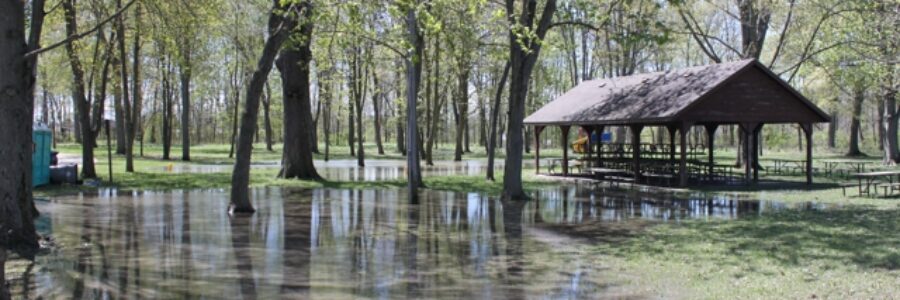 Flooded Park