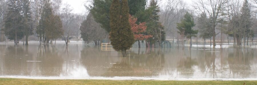 Flooded Park