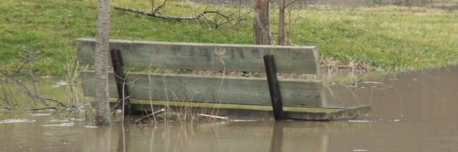 Flooded Bench