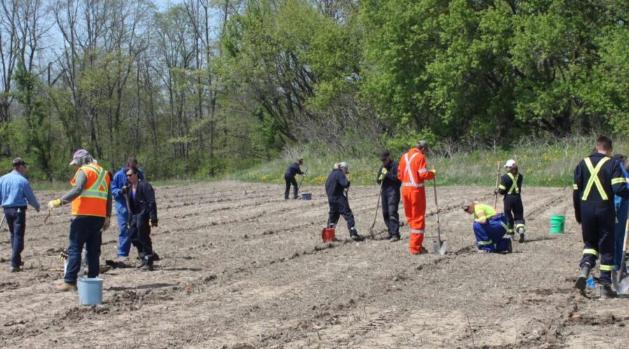 Enbridge and the SCRCA Complete 8-year Lambton County Naturalization Project