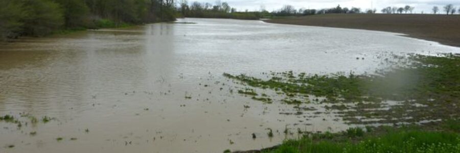 image of flooded farm fields due to extensive rain