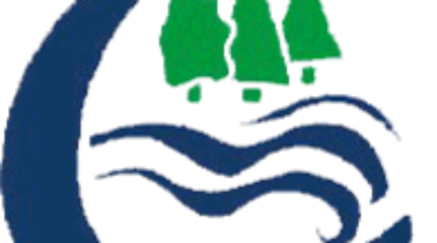 site logo