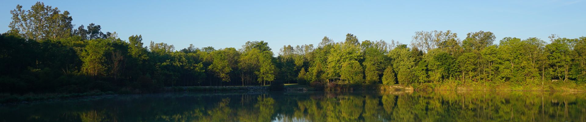 View of pond in conservation area