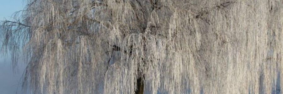 Flood Watch – February 3, 2021 – Event 1, Bulletin 1