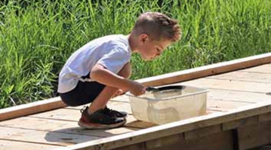 Young boy looking into bucket with a magnifying lens