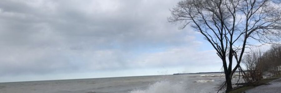 Shoreline Conditions Statement – December 22, 2022 – Event 8, Bulletin 1